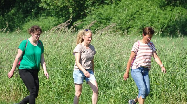 Singels en Essen wandeltocht (zondag 11 juni 2023)